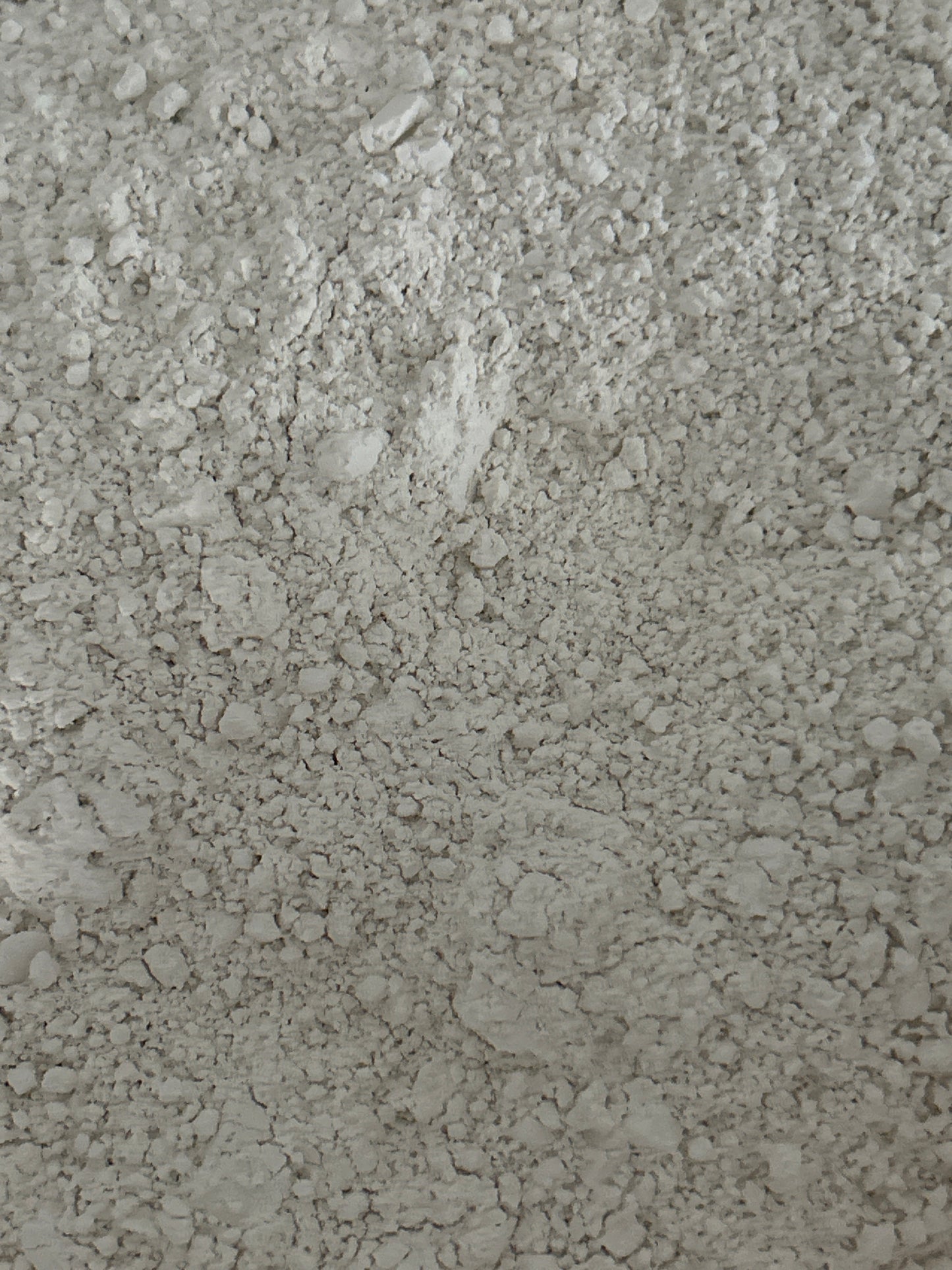 Diatomaceous Earth